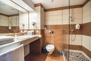 Фото номера Двухместный номер с 1 кроватью - Мансарда Отель F&amp;B Spa Resort (ex. Fomich Hotel) г. Буковель 8