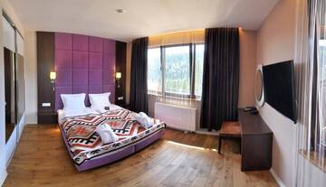 Фото номера Номер Делюкс Отель F&amp;B Spa Resort (ex. Fomich Hotel) г. Буковель 2