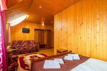Фото номера Полулюкс Мини-отель Villa Milena г. Буковель 9