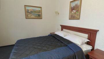 Фото номера Полулюкс с доступом в спа-центр Отель Tavel Hotel &amp; SPA г. Буковель 5