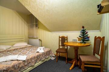 Фото номера Двухместный номер эконом-класса на мансардном этаже Отель Alpin Hotel г. Буковель 8