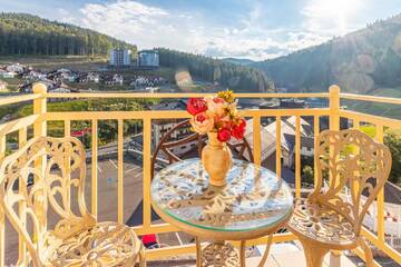 Фото номера Апартаменты с видом на горы Отель Petros Hotel г. Буковель 2